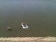 IMAG0358.JPG