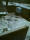 yard2.jpg