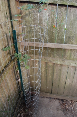 The fence from which the wire for hanger restraint spring was cut. The fence from which the wire for hanger restraint spring was cut.