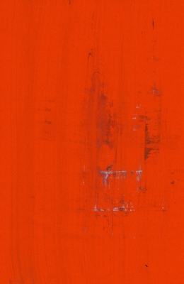 WDVT - 0011 - Forest in the Abstract.jpg WDVT - 0011 - Forest in the Abstract.jpg