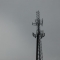 The lone metal cell tree.