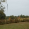 Fields