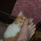 What's that one your foot? What's that one your foot?
