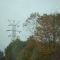 Rural view