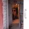 Looking in at the cows.