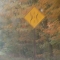 Common rural signage.