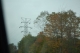 Rural view