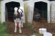 A calf.
