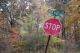 Stop...