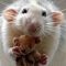 mouseteddybylanning.jpg
