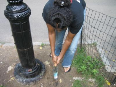 digging digging