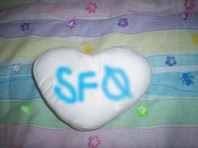 SF0 pillow