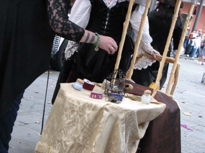 a large shell - mermaid treasure a large shell - mermaid treasure