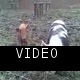Video003.3gp