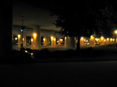 forest full of canvas.JPG