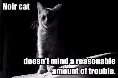 noir-cat.bmp noir-cat.bmp