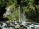 mossy falls.JPG