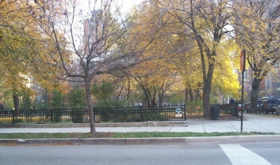 Architect and Urchin