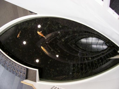 reflection of staircase in koi pond