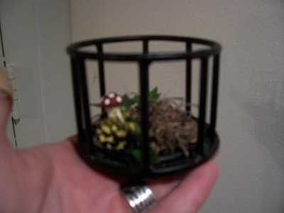 fairy cage 4 fairy cage 4