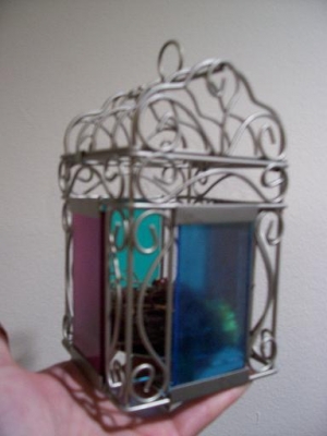 fairy cage 5 fairy cage 5