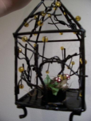 fairy cage 6 fairy cage 6