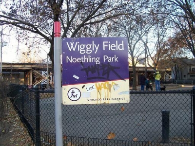 Wiggly Field