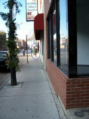 Thanksgiving greetings