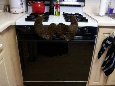 stove with mustache
