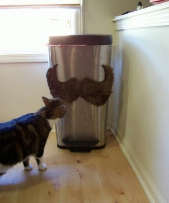 trashcan, um, goes Lincoln