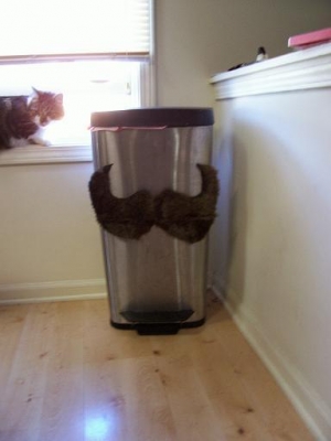 zer0gee amuses herself...