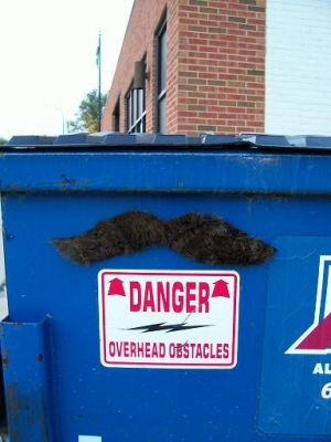 dangerous mustache