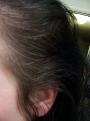 you can almost count them