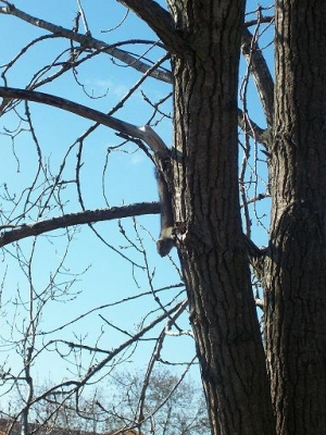 woo!  they're jumping today!