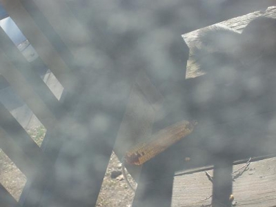 to the victor go the spoils