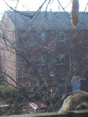 the challenger departs