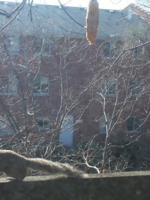 a challenger arrives!