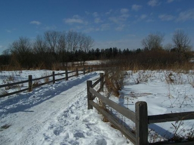 snowy trails