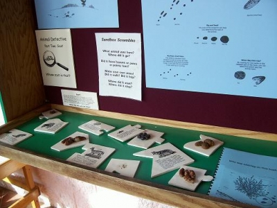 "Whose scat is that?"