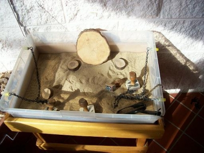 sandbox and animal footprint stamps
