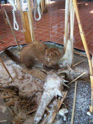 dead but still pissed off diorama