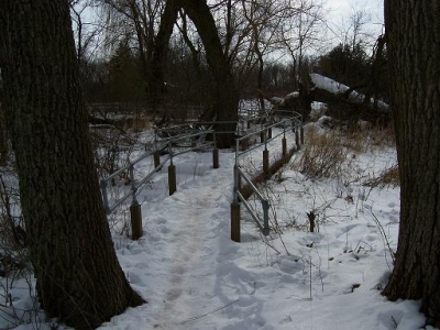 bridge through the wetlands