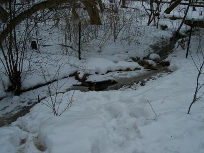 half-frozen creek half-frozen creek