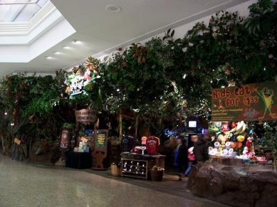 Rainforest Cafe