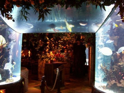 aquarium tunnel