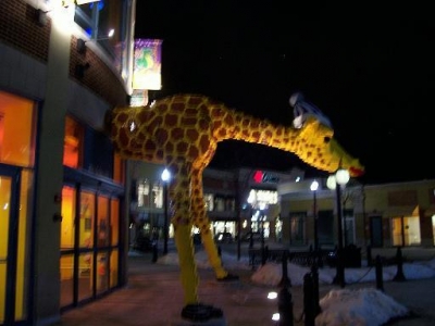 giraffe!