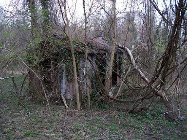 shed shed