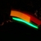 eating glowsticks