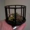 fairy cage 4