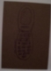 cell phone cell phone